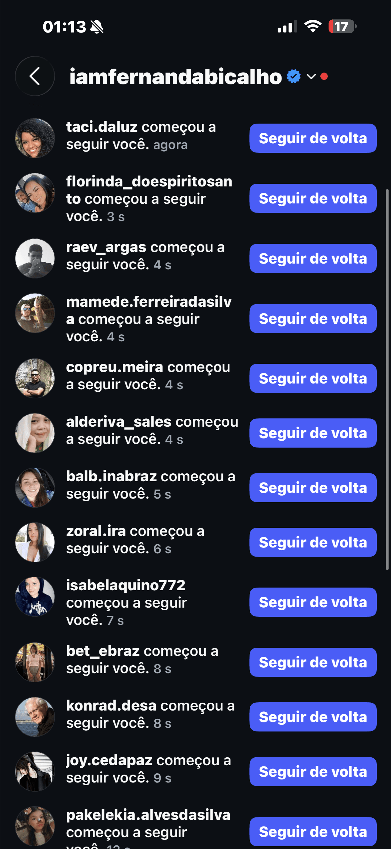 Exemplo de perfil entregue 1